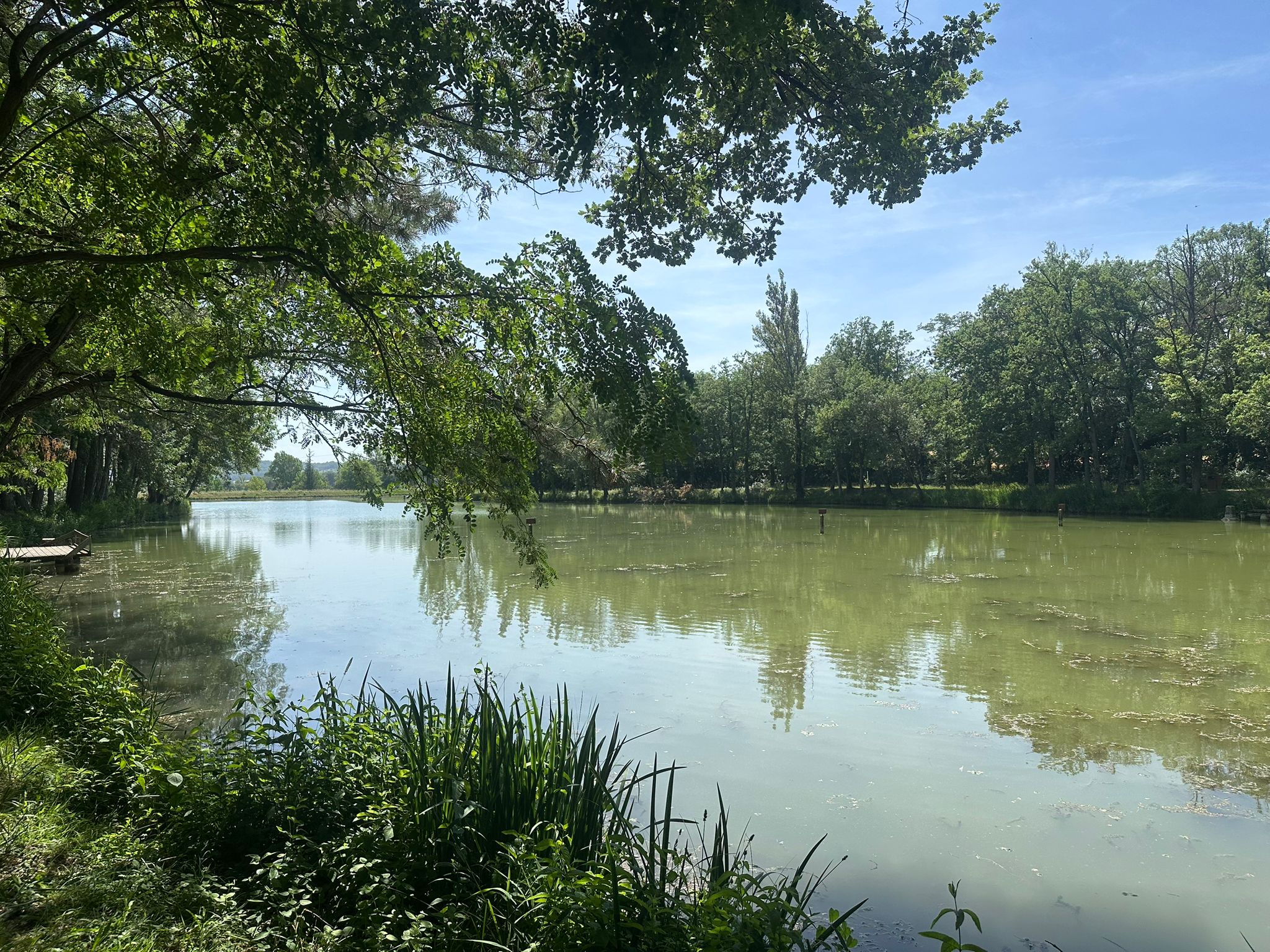 Le lac de Lenclas bordé d'arbres, reflets paisibles sur l'eau