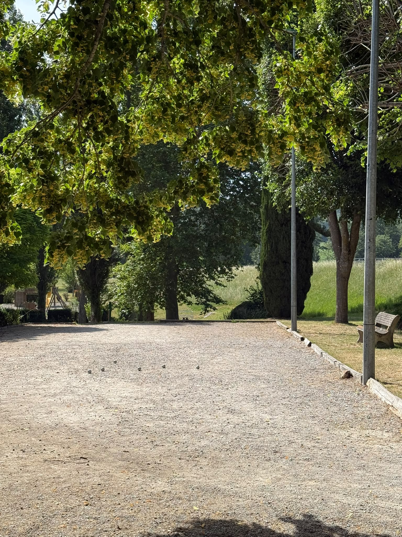 Terrain de pétanque ombragé sous les tilleuls