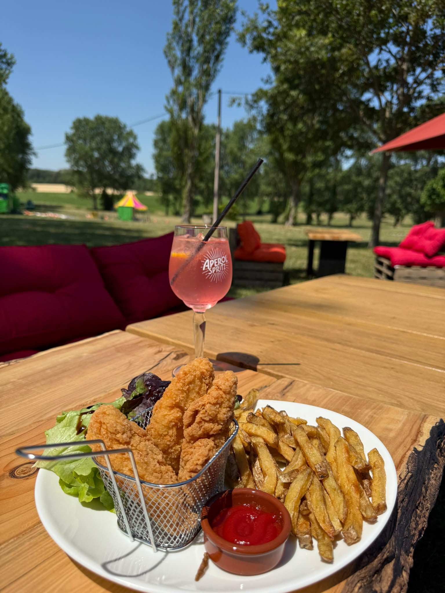 Assiette généreuse et boisson fraîche sur table en bois face à la nature